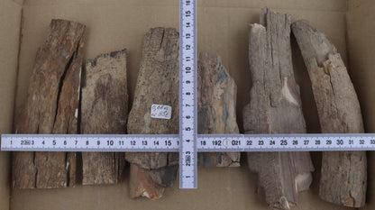Raw mammoth ivory pieces