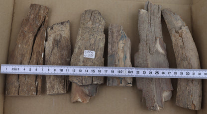 Raw mammoth ivory pieces