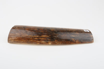 Brown mammoth bark
