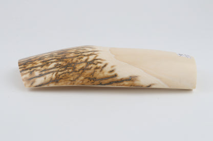 Natural mammoth ivory piece