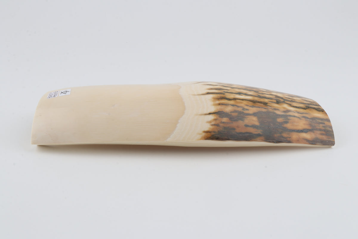 Natural mammoth ivory piece