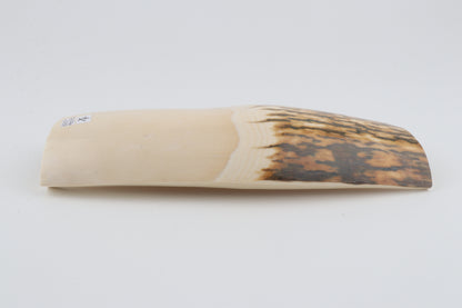 Natural mammoth ivory piece