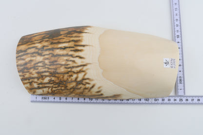 Natural mammoth ivory piece