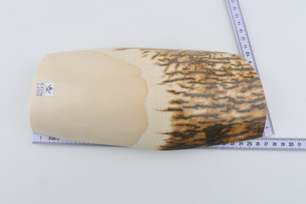 Natural mammoth ivory piece