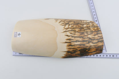 Natural mammoth ivory piece