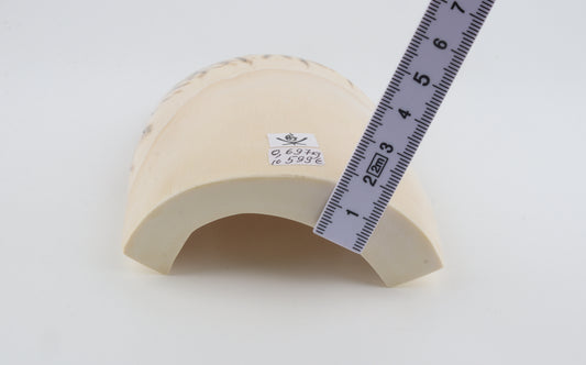 Natural mammoth ivory piece