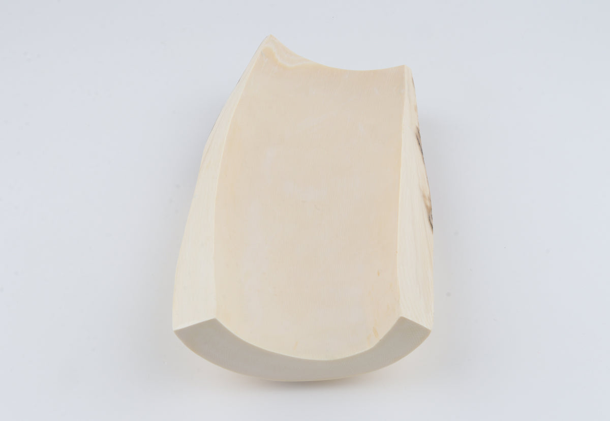 Natural mammoth ivory piece
