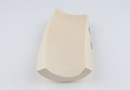 Natural mammoth ivory piece