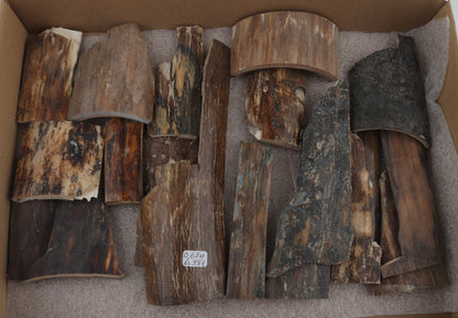 Natural mammoth bark pieces