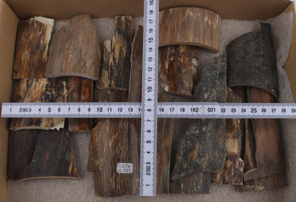 Natural mammoth bark pieces