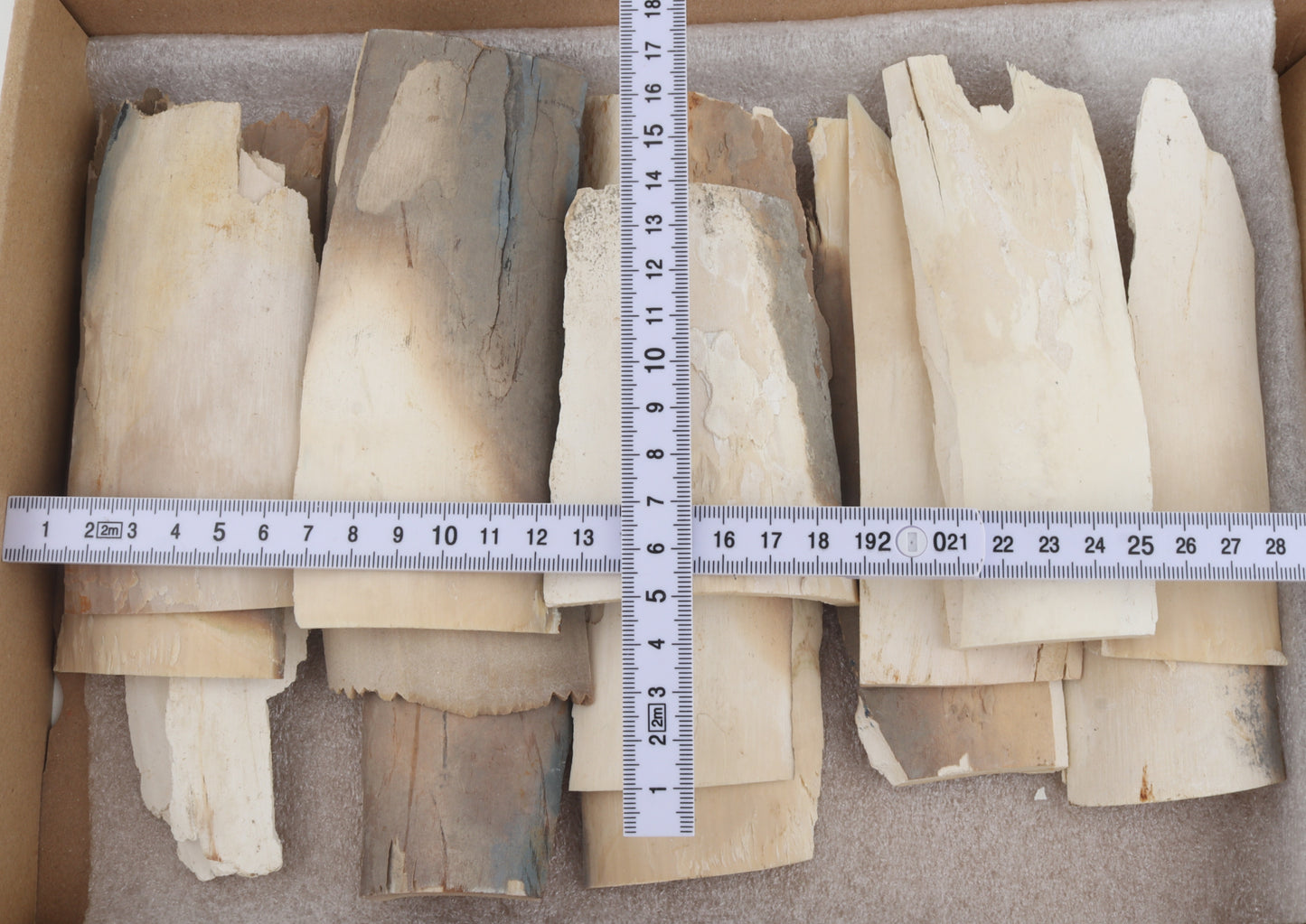 Untreated mammoth ivory pieces