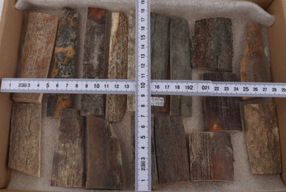Raw mammoth bark pieces