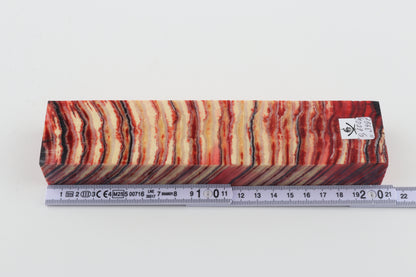 Stabilized mammoth molar block