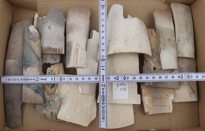 Untreated mammoth ivory offcuts