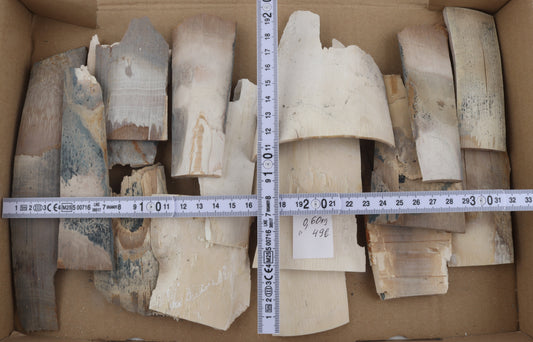 Untreated mammoth ivory offcuts