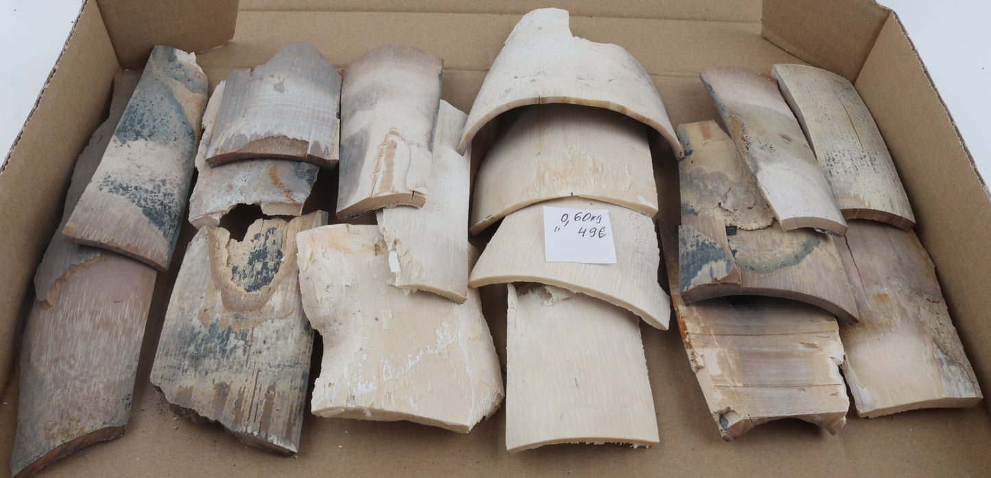 Untreated mammoth ivory offcuts