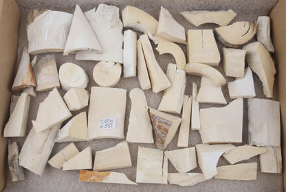 White mammoth ivory pieces