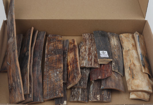 Natural mammoth bark pieces