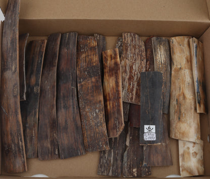 Natural mammoth bark pieces
