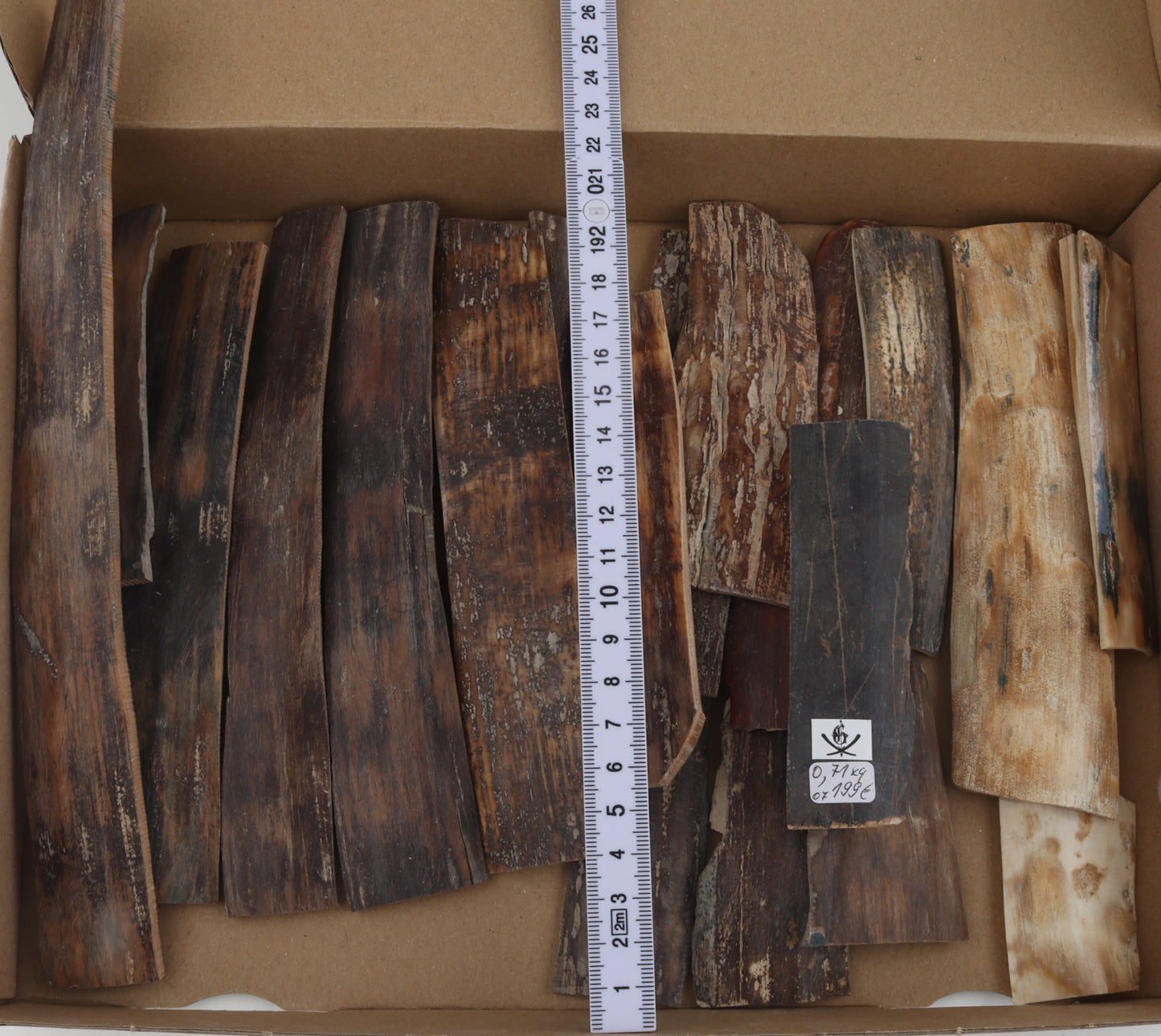 Natural mammoth bark pieces
