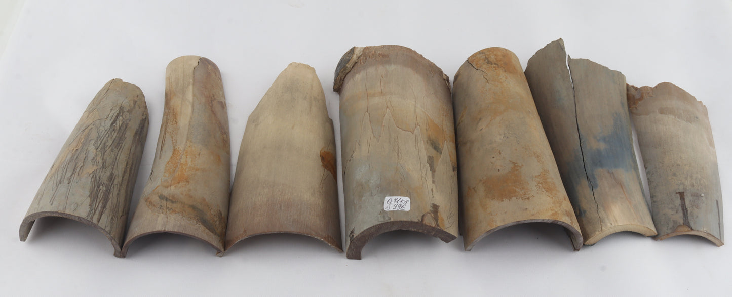 Untreated mammoth ivory pieces