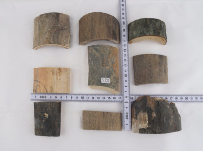 Raw mammoth bark pieces