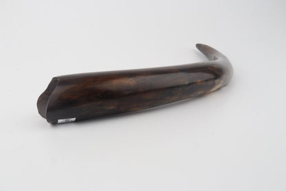 Restored woolly mammoth tusk