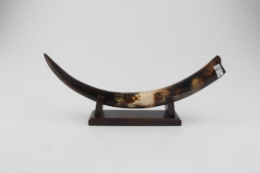 Restored woolly mammoth tusk