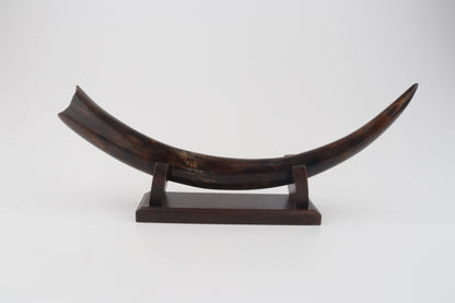 Restored woolly mammoth tusk