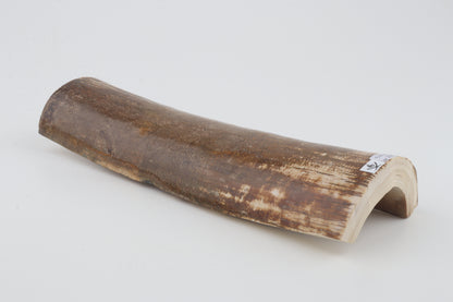 Brown mammoth bark
