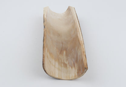 Brown mammoth bark