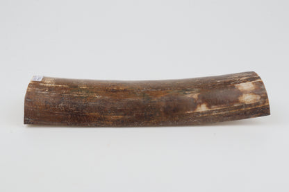 Brown mammoth bark