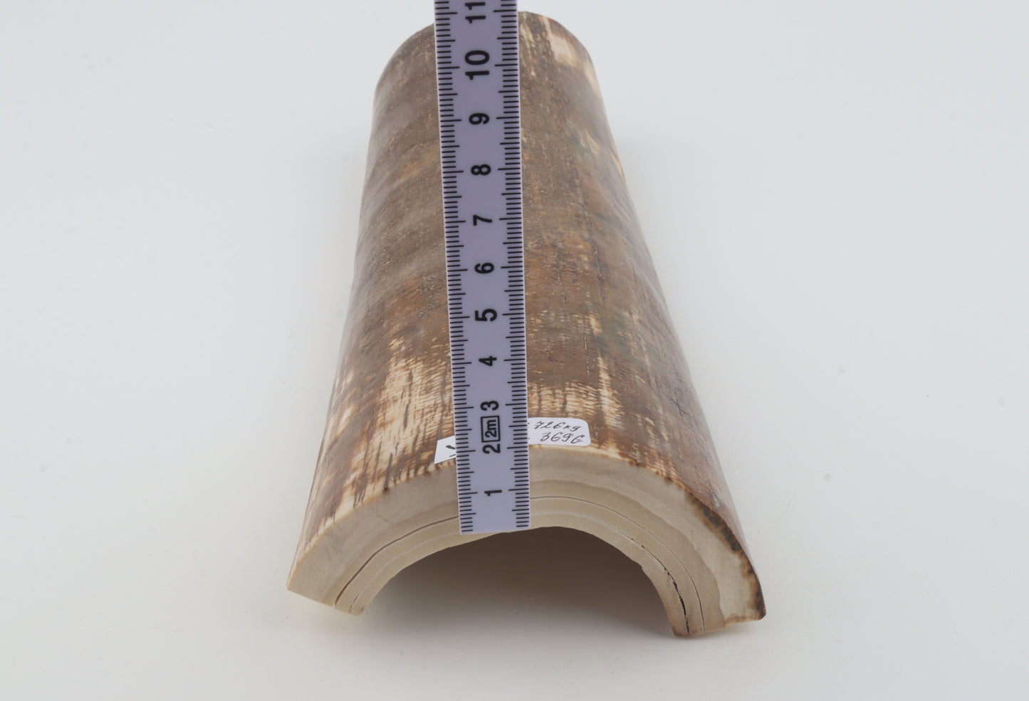 Brown mammoth bark