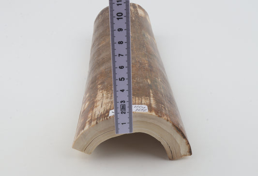 Brown mammoth bark