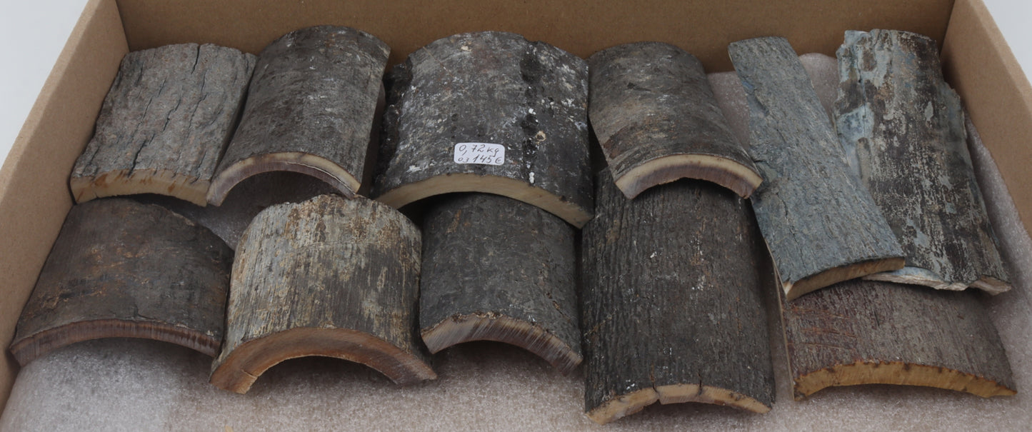 Untreated mammoth bark pieces