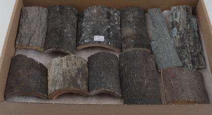 Untreated mammoth bark pieces