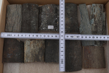 Untreated mammoth bark pieces