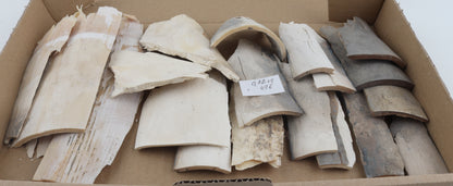 Raw mammoth ivory pieces