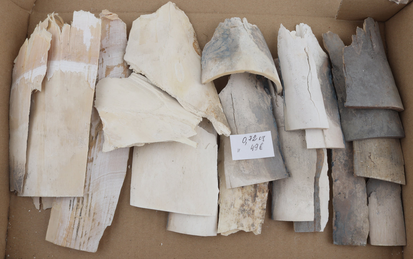 Raw mammoth ivory pieces