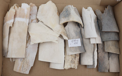 Raw mammoth ivory pieces