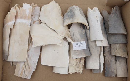 Raw mammoth ivory pieces