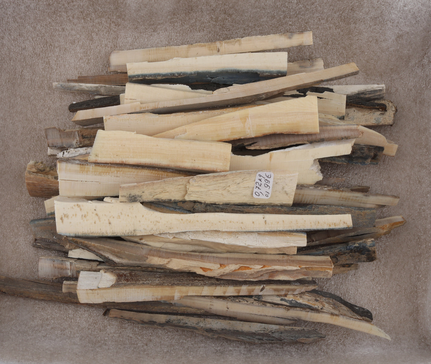 Untreated mammoth ivory offcuts