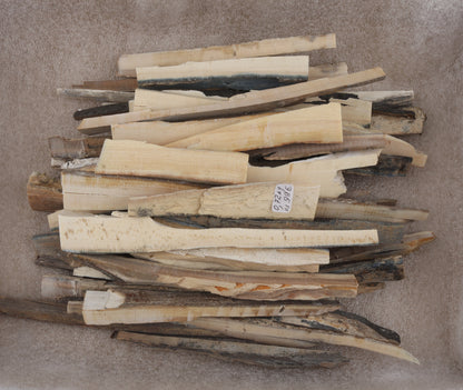 Untreated mammoth ivory offcuts