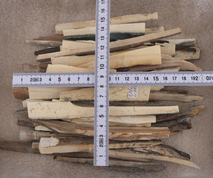 Untreated mammoth ivory offcuts