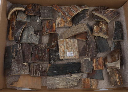 Raw mammoth bark pieces