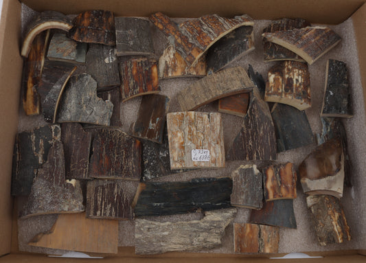 Raw mammoth bark pieces