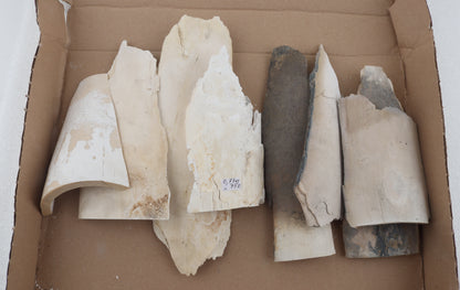 Raw mammoth ivory pieces