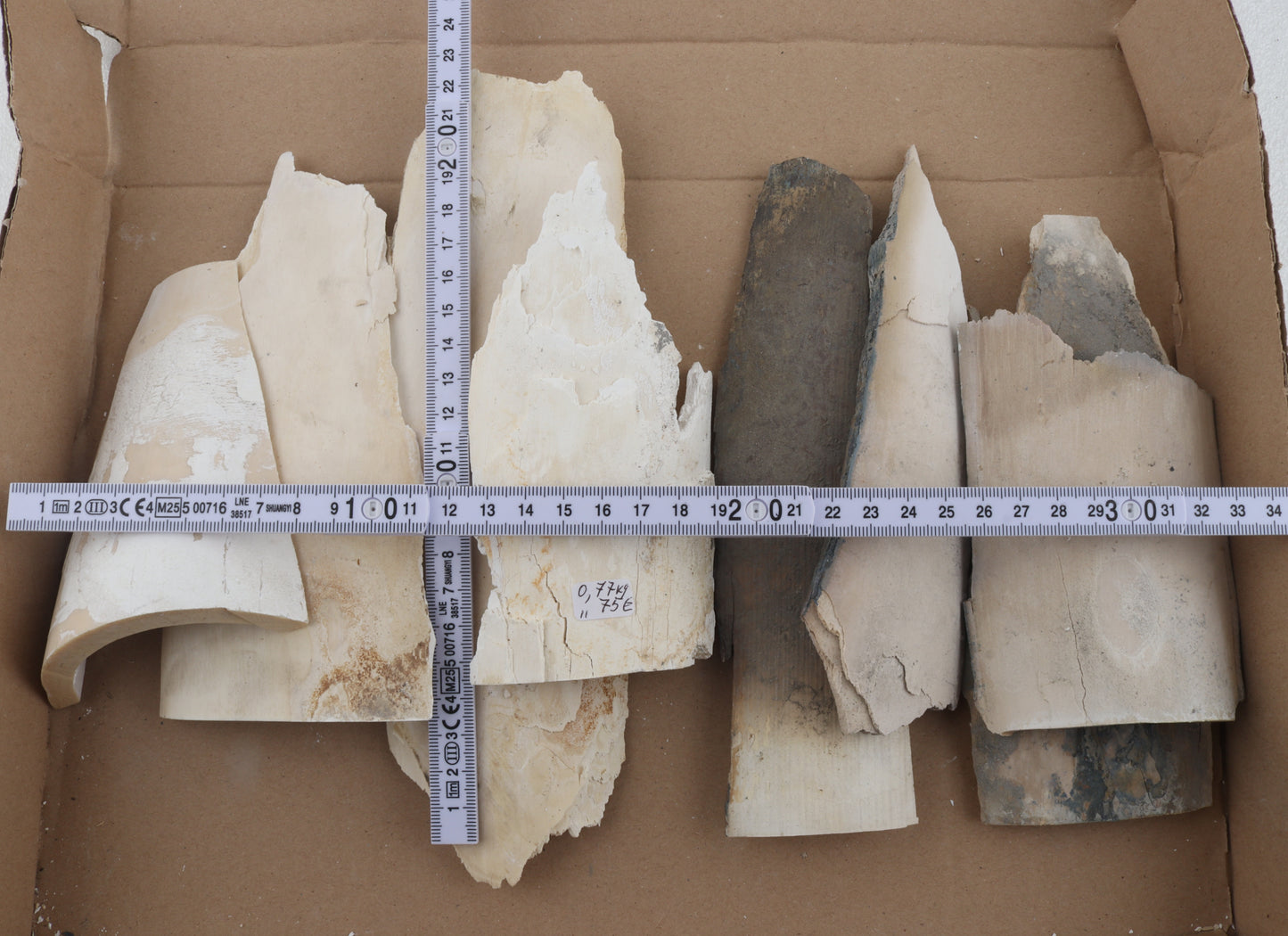 Raw mammoth ivory pieces