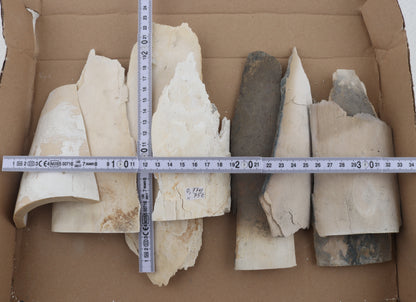 Raw mammoth ivory pieces