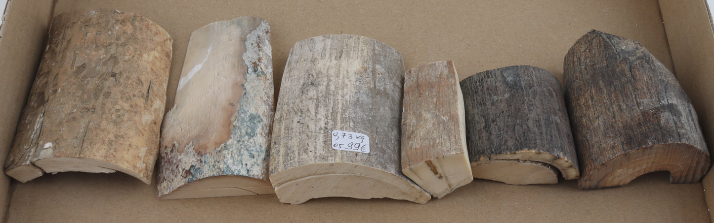 Raw mammoth ivory pieces